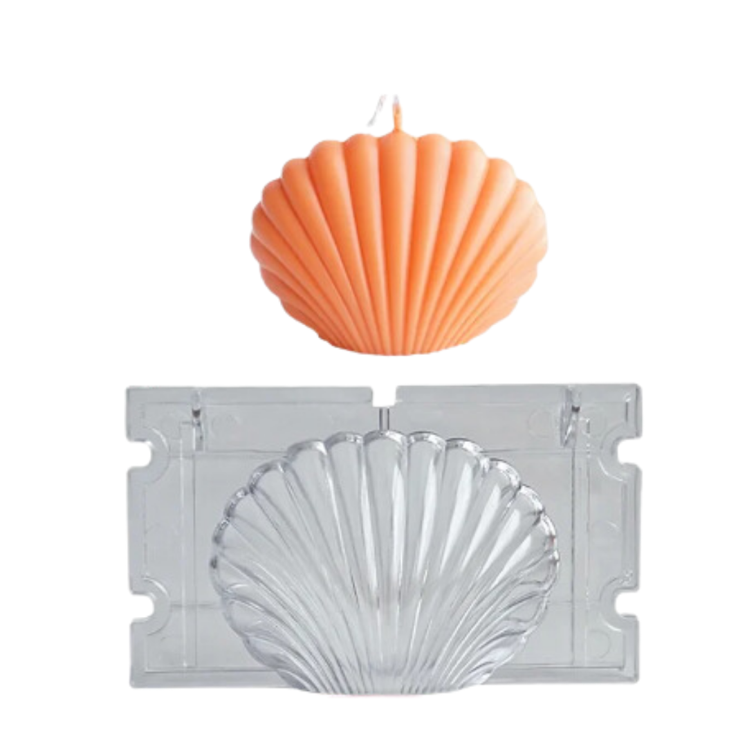 Craftto Deniz Kabuğu Akrilik Plastik Mum Kalıbı