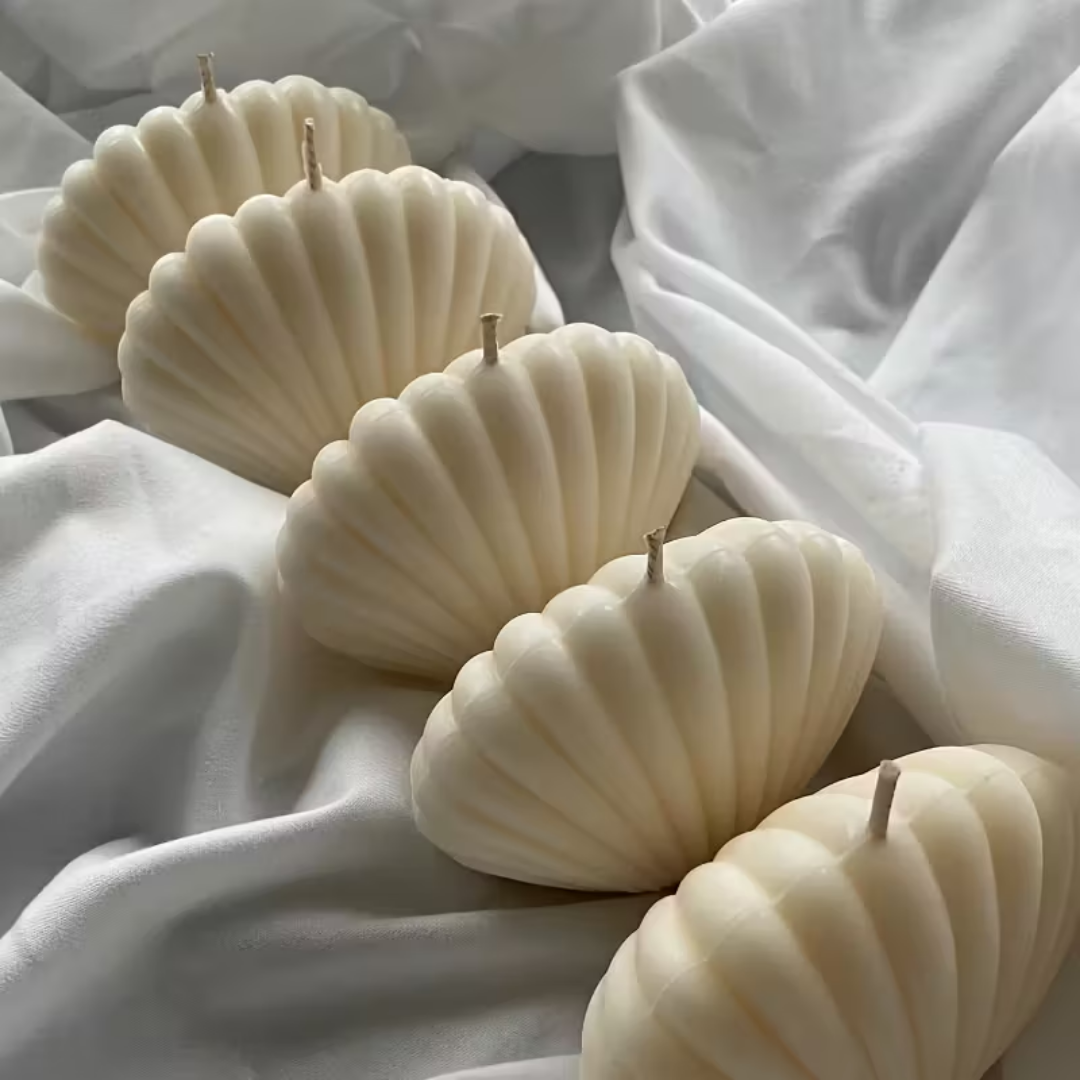 Craftto Deniz Kabuğu Silikon Mum Kalıbı