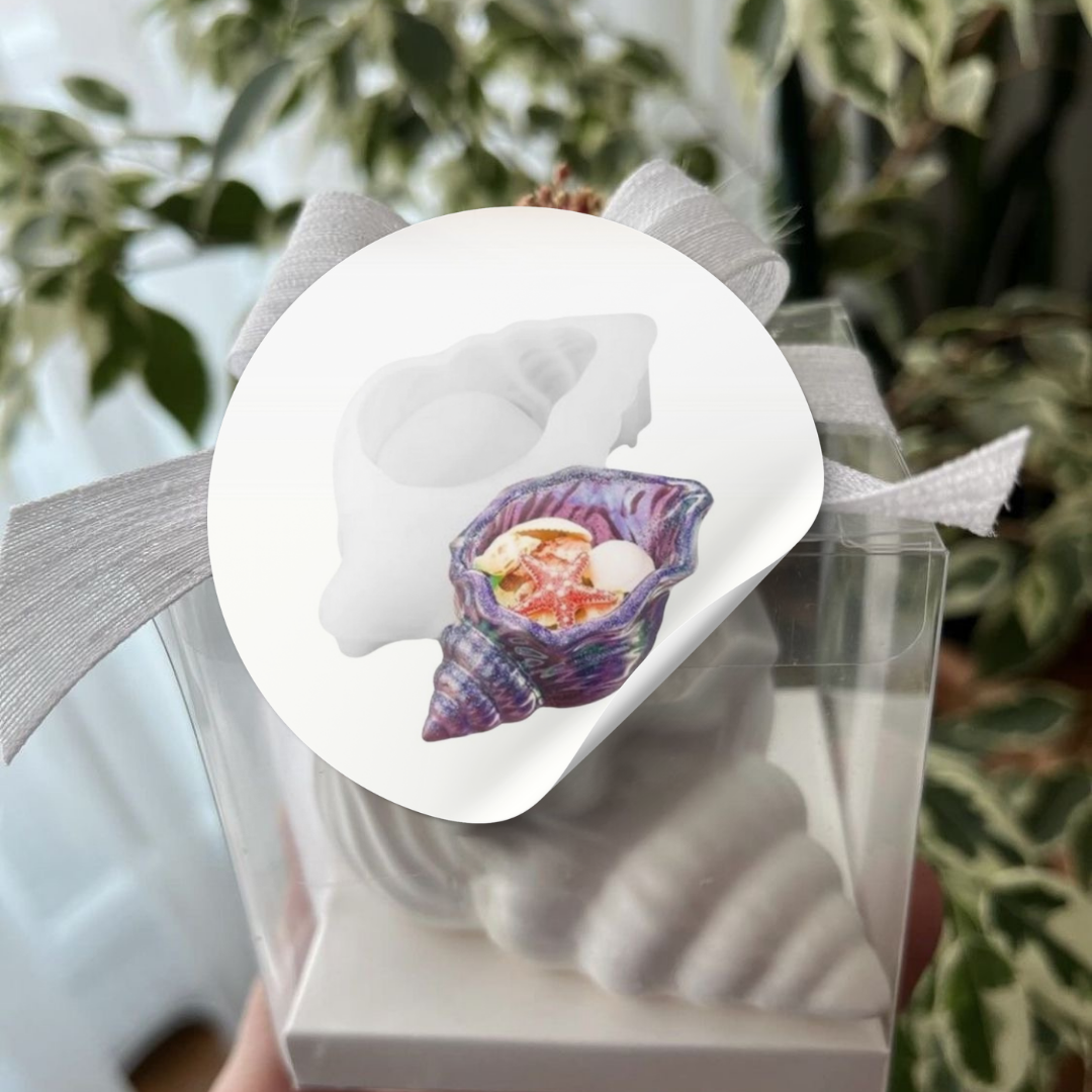 Craftto Deniz Kabuğu Silikon Kalıp